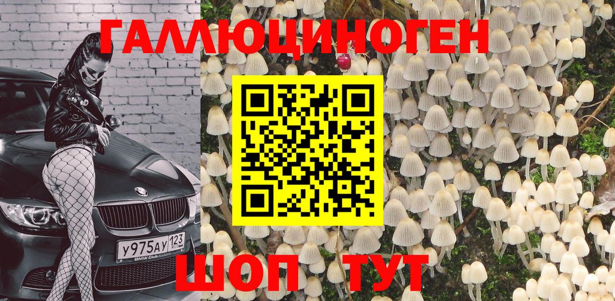 Люберцы  Псилоцибиновые грибы мицелий  купить   Вход с VPN 
